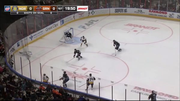 12.31 Greenville Swamp Rabbits V. Norfolk Admirals Highlights