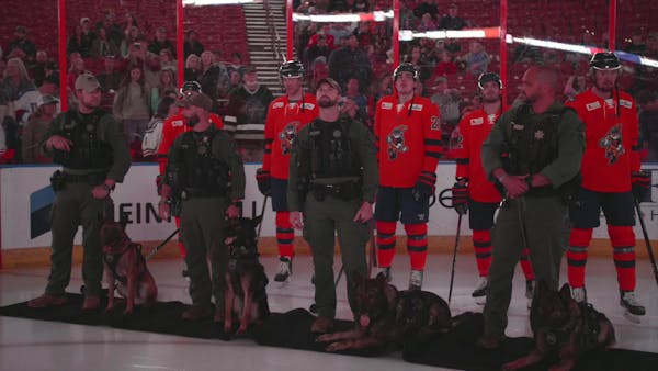 Rabbits Recap First Responders Night