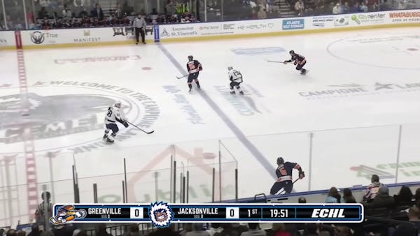 1.8 Greenville Swamp Rabbits Highlights