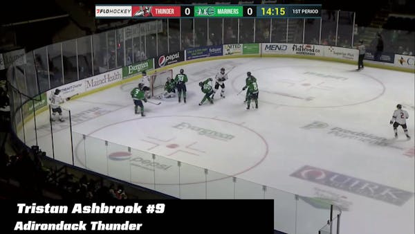 ECHL Plays of the Week - April 8-14, 2024