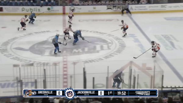 3.1 GVL HIGHLIGHTS